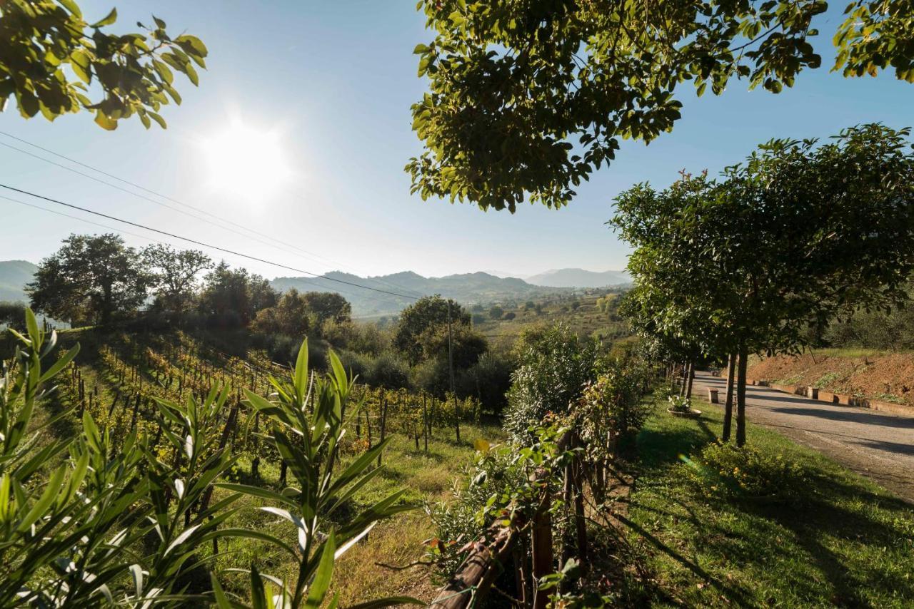 Tenuta D'Amore San Mango Piemonte Exterior photo